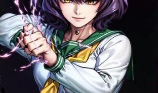 憧憬成为魔法少女动漫