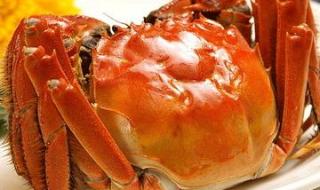 青蟹怎么做好吃又简单