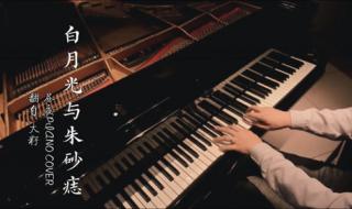 白月光与朱砂痣歌曲歌词