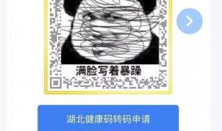 湖北健康码又有新变化!