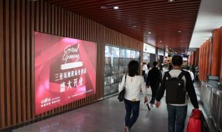 海南自驾游车主的离岛归途