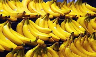 菲律宾香蕉对华出口锐减