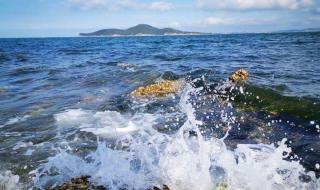 夏天去大连还是青岛好