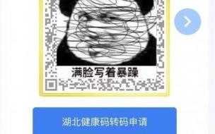 怎样登录湖北健康码 湖北健康码又有新变化!