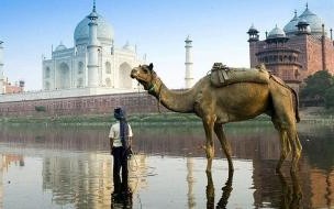 1000万卢布有多高 50万卢布等于多少人民币