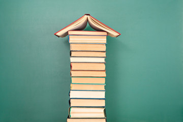 日珥和日冕物质抛射有什么异同