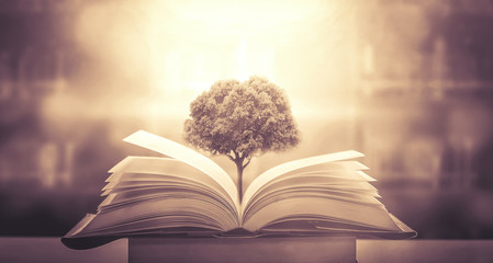 ins风是什么风格