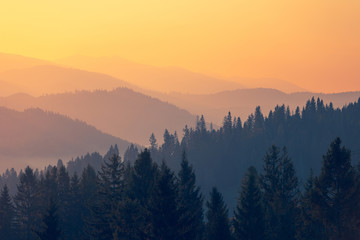 教程开挂辅助“中至跑得快能不能开挂”附开挂脚本详细步骤