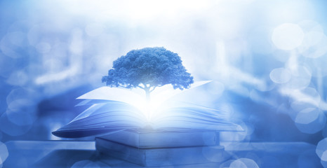 实测辅助”新众娱大厅怎么开透视”分享必要外挂教程