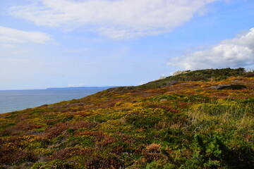 谁介绍几部好看的破案剧-