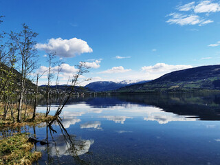王子与公主邂逅