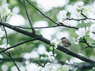 玩家辅助神器：“河北约牌吧开挂神器”其实确实有挂