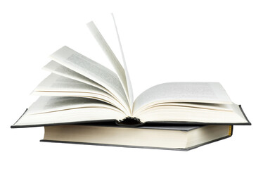 健音帝的介绍_1