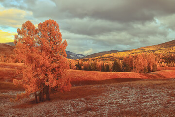 必看教程“旺旺江苏麻将可以开挂吗”附开挂脚本详细步骤