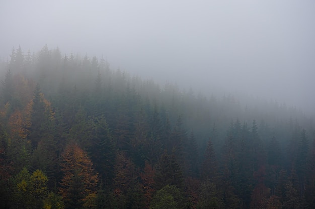 哈尔滨援建方舱医院内发现有人员被检测出阳性