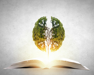 实测辅助”雀神广东麻将免费开挂器下载”(原来确实是有挂)