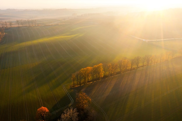 实测分析“东游麻将开挂神器”最新辅助详细教程