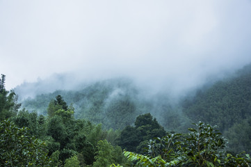 玩家辅助神器：“决战卡五星有免费挂吗(透视)”最新辅助详细教程